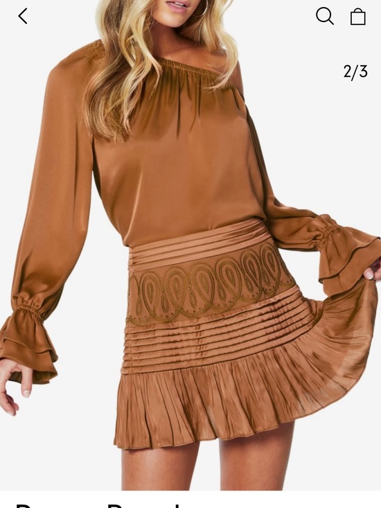 Ramy Brook Dresses & Skirts - Ramy Brook Tan Embroidered Pleated Mini Skirt and Cami sold as a set